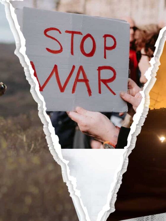 شطرنج کے پیادے، تلواروں کے سوداگر اور جلتا ہوا مشرق