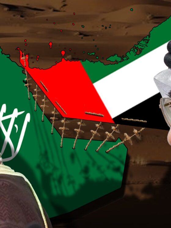 متحدہ عرب امارات کا نیٹ ورکڈ دفاعی ماڈل