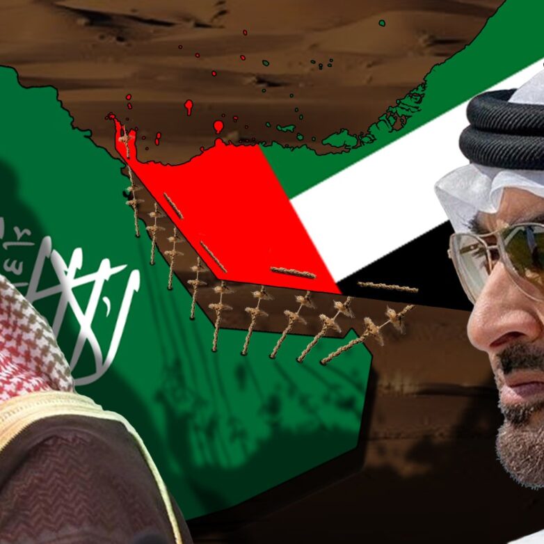 متحدہ عرب امارات کا نیٹ ورکڈ دفاعی ماڈل